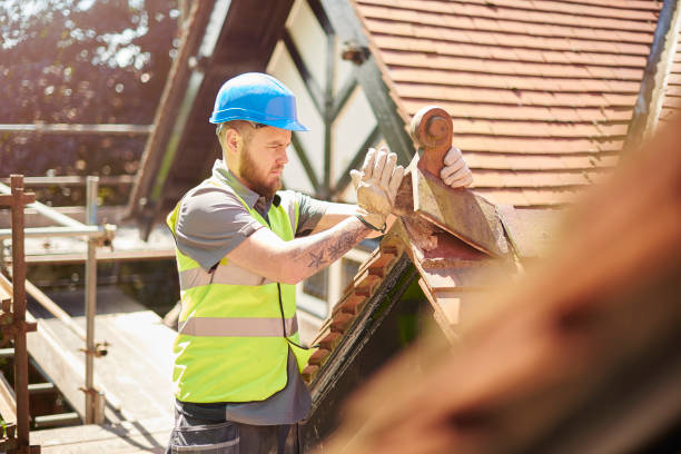 Best Metal Roofing Contractor  in San Jacinto, CA